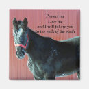 Search for filly magnets Ranch