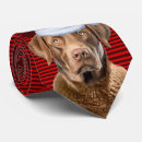 Search for chesapeakes ties Chesapeake bay retriever