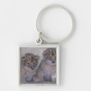 Search for lion cub square key rings Wildlife
