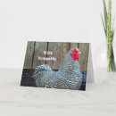 Search for plymouth cards Chicken