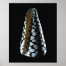Search for two objects posters Single object