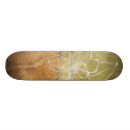 Search for tans skateboards Abstract