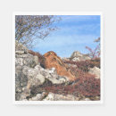 Search for hare napkins Animals