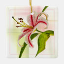 Search for lily christmas tree decorations Botanical