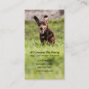Search for dachshund dog business cards Dachsund