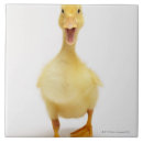 Search for duck and duckling tiles Nature