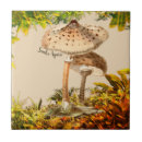 Search for agaric Mushrooms