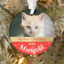 Search for orange kitten christmas tree decorations Snowflakes