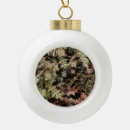 Search for succulent christmas tree decorations Desert