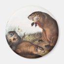 Search for antique mouse magnets Vintage