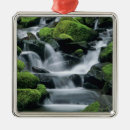 Search for washington state christmas tree decorations Usa