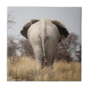Search for rear view tiles Animal