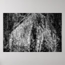 Search for weeping willow tree posters Nature
