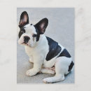 Search for frenchies postcards Puppies