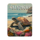 Search for galapagos magnets Giant tortoise