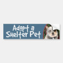 Search for adopt a dog bumper stickers Pet adoption
