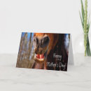 Search for horse mothers day cards Animal