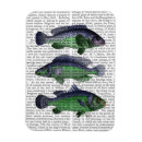 Search for green fish magnets Steampunk