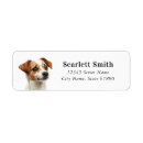 Search for jack russell terrier return address labels Puppy