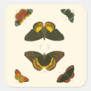 Search for bright butterfly stickers Butterflies