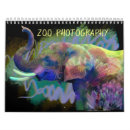 Search for conservatives photography Elephant