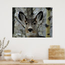Search for mule posters Animal
