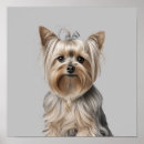 Search for yorkies art Cute