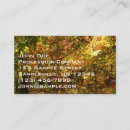 Search for autumn leaves business cards Forest