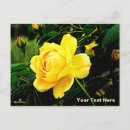 Search for rosas postcards Flora