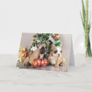 Search for bulldog christmas cards Ball