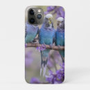 Search for budgie iphone cases Bird