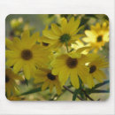 Search for swamp mousepads Flower