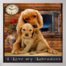 Search for labrador retriever posters Funny