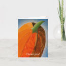 Search for marker cards Orange