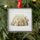 Search for cub christmas tree decorations Snow