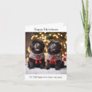 Search for newfoundland christmas cards Puppies
