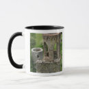 Search for ireland castle mugs Blarney