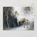 Search for winter white postcards Postcrossing