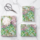 Search for green pattern photography Succulent