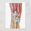 Search for joint postcards Physiology