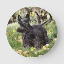 Search for round watches Dog