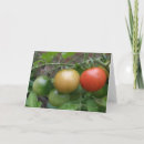Search for traffic light cards Red
