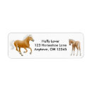 Search for palomino return address labels Pony