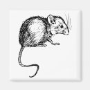 Search for mice magnets Animals