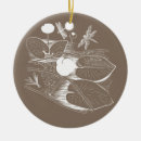 Search for lilies christmas tree decorations Water