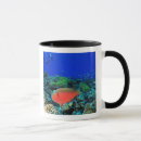 Search for westmorland mugs Underwater