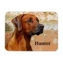 Search for rhodesian magnets Puppy