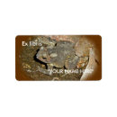 Search for toad return address labels Animal