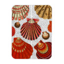 Search for the shell magnets Animals