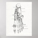 Search for foot posters Anatomy